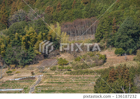 Winter forest scenery in Asuka Village, Nara Prefecture Winter forest scenery in Asuka Village, Nara Prefecture 136187232