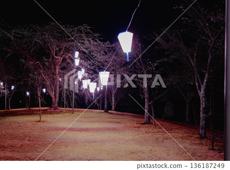 西山公園(西山莊附近) 西山公園(西山莊附近) 136187249