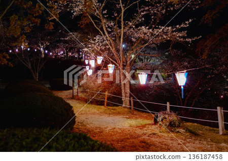 西山公園(西山莊附近) 西山公園(西山莊附近) 136187458