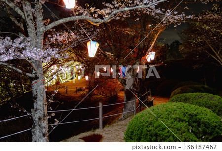 西山公園(西山莊附近) 西山公園(西山莊附近) 136187462