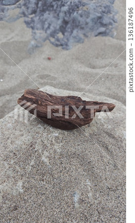 Driftwood launched on the beach 136187496