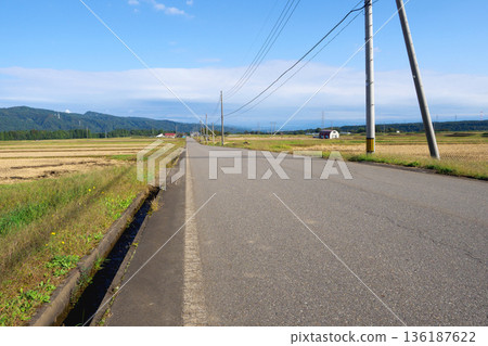 新潟縣津南町，中沼寬農業道路，梯田上的筆直道路，由南向北 136187622