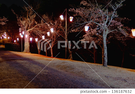 西山公園（西山莊附近） 136187632