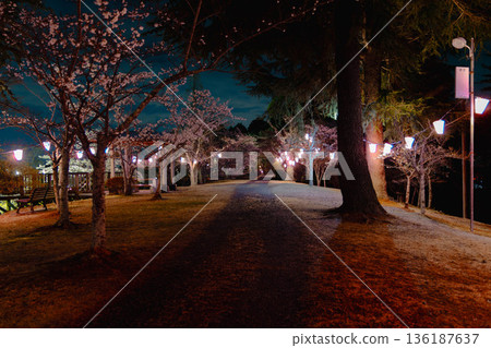Nishiyama Park (near Nishiyamaso) Nishiyama Park (near Nishiyamaso) 136187637