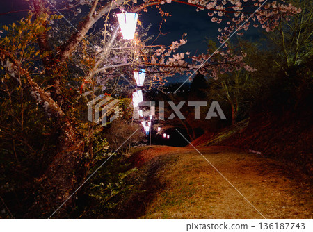 西山公園（西山莊附近） 136187743
