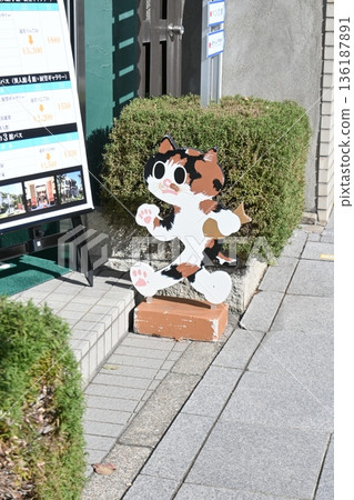 三花貓跳了出來 136187891