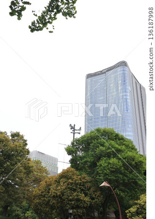 東京千代田區日比谷公園景色 東京千代田區日比谷公園景色 136187998