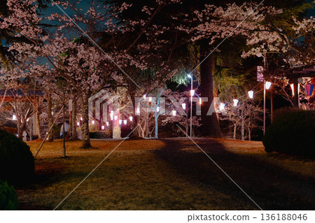 Nishiyama Park (near Nishiyamaso) Nishiyama Park (near Nishiyamaso) 136188046