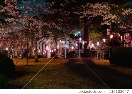 西山公園(西山莊附近) 西山公園(西山莊附近) 136188047