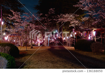 西山公園（西山莊附近） 136188050