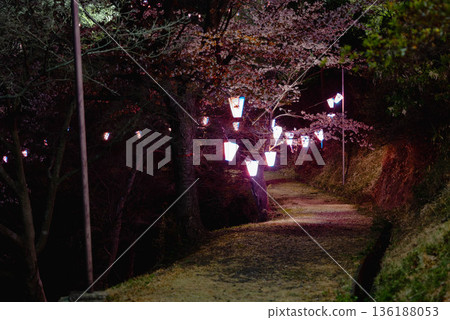 西山公園（西山莊附近） 136188053