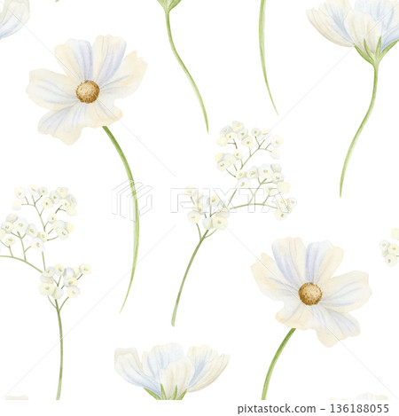 Blooming white spring wildflowers watercolor seamless pattern. White cosmos and Matthiola flowers repeat background for simple light garden designs. Naive monochrome floral backdrop Blooming white spring wildflowers watercolor seamless pattern. White cosmos and Matthiola flowers repeat background for simple light garden designs. Naive monochrome floral backdrop 136188055