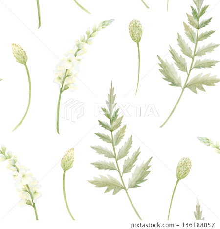 Watercolor spring floral seamless with pastel green wildflowers, white Matthiola flowers and fern leaves. Elegant repeat background with herbs for delicate backdrop and wallpapers 136188057