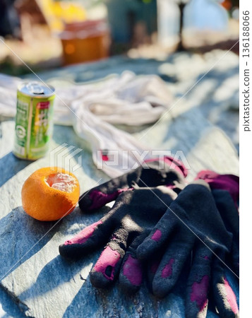 旺季柑橘採摘的景象 旺季柑橘採摘的景象 136188066