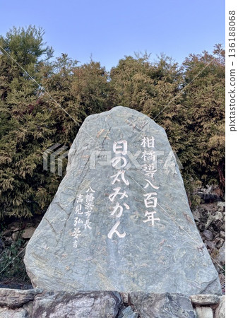 八幡濱日之丸蜜柑石碑 八幡濱日之丸蜜柑石碑 136188068