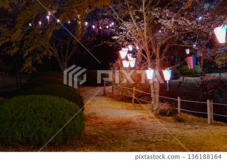 Nishiyama Park (near Nishiyamaso) 136188164