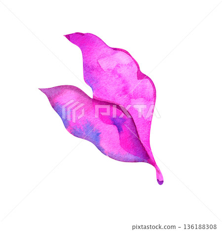 Hand painted watercolor vibrant pink leaves with purple accents. Artistic botanical illustration for modern floral designs, summer patterns, and creative branding projects. 136188308