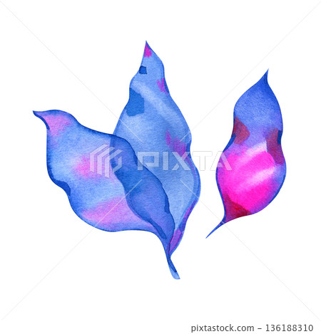 Hand painted watercolor blue and purple leaves with vibrant pink accents. Modern botanical illustration for mystical designs, tropical patterns, and creative branding. Artistic nature element. 136188310