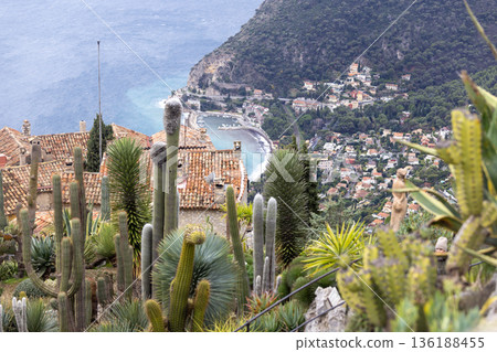 top view of Exotic Garden of Eze	 136188455