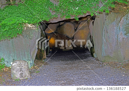 大王山葵農場（安曇野） 136188527