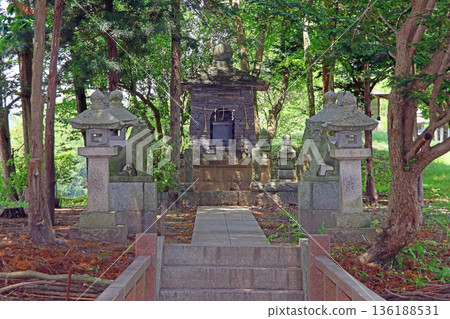 大王山葵農場（安曇野） 136188531