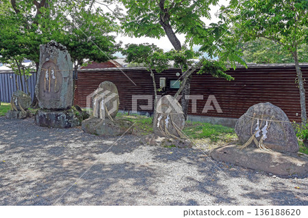 大王山葵農場（安曇野） 136188620