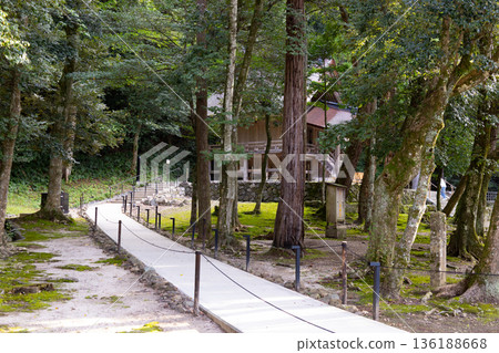 The path leading to Sogasha, a sub-shrine of Izumo Taisha Shrine 136188668