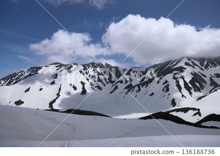 Tateyama Kurobe Alpine Route 136188736