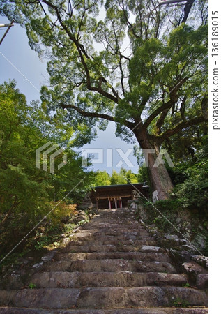 鳥棲市東屋神社參拜殿的石階 鳥棲市東屋神社參拜殿的石階 136189015