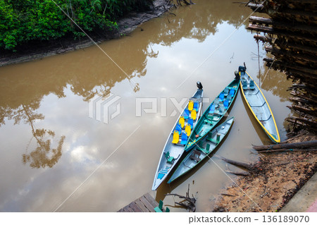Canoes on the calm waters of Cuyabeno Reserve, Ecuador Canoes on the calm waters of Cuyabeno Reserve, Ecuador 136189070