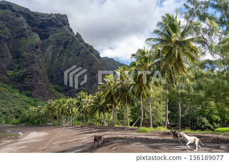 Remote beach in Hakaui Bay, Nuku Hiva, Marquesas Islands, French Polynesia 136189077