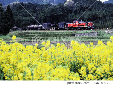 1983: DD51 freight train running near Kada Station on the Kansai Main Line 1983: DD51 freight train running near Kada Station on the Kansai Main Line 136189270