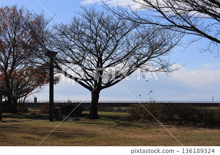 Scenery of Sekiyado Castle Park Scenery of Sekiyado Castle Park 136189324