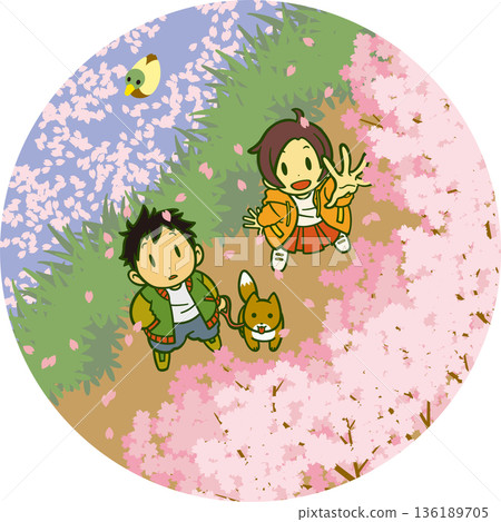 櫻花散步 136189705