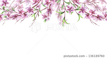 A rectangular frame with blossoming peach branches at the top. An isolated watercolor illustration with a spring theme for tableware, cards, product packaging, and interior design. 136189760