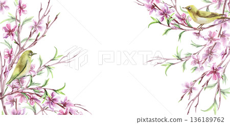 A rectangular frame with blooming trees and birds. Isolated watercolor illustration with a spring theme for tableware, cards, product packaging, and interior design. 136189762
