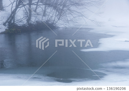 清晨雪後的沼澤 清晨雪後的沼澤 136190206