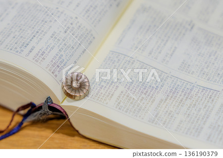 Attorney's Badge 136190379