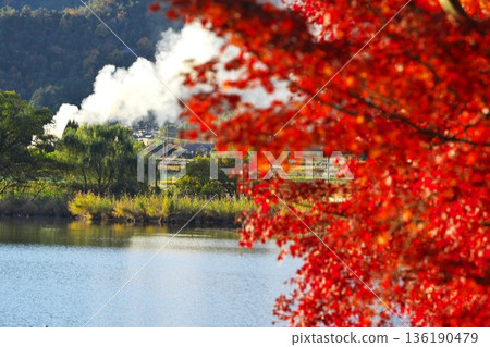京都嵯峨野的秋景：田野焚燒產生的煙霧繚繞著被秋葉染成顏色的廣澤池。 136190479