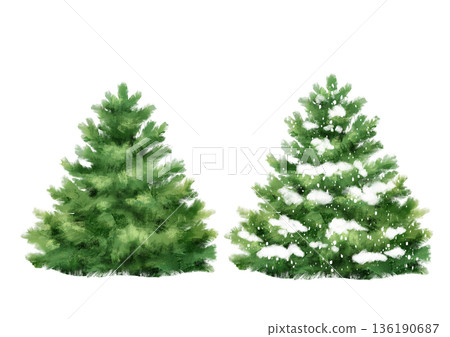 Hand drawn illustration of a set featuring two green fir trees with one covered in white snow isolated on a white background. Festive evergreen spruces for Christmas greeting cards, winter holiday 136190687