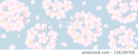 Vector illustration of delicate cherry blossoms on a smoky blue background Vector illustration of delicate cherry blossoms on a smoky blue background 136190708