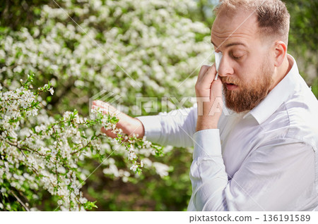Man allergic suffering from seasonal allergy at spring in blossoming garden at springtime. Young man sneezing and blowing nose with nasal handkerchief in front of blooming tree. Spring allergy concept Man allergic suffering from seasonal allergy at spring in blossoming garden at springtime. Young man sneezing and blowing nose with nasal handkerchief in front of blooming tree. Spring allergy concept 136191589