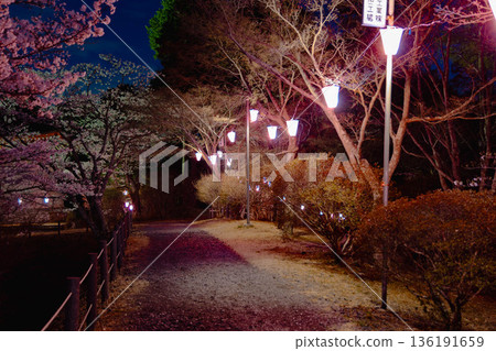Nishiyama Park (near Nishiyamaso) Nishiyama Park (near Nishiyamaso) 136191659
