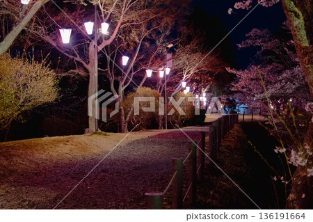 西山公園（西山莊附近） 136191664