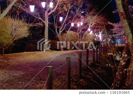 Nishiyama Park (near Nishiyamaso) Nishiyama Park (near Nishiyamaso) 136191665