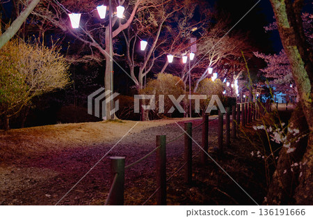西山公園(西山莊附近) 西山公園(西山莊附近) 136191666