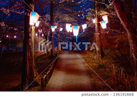 Nishiyama Park (near Nishiyamaso) Nishiyama Park (near Nishiyamaso) 136191668