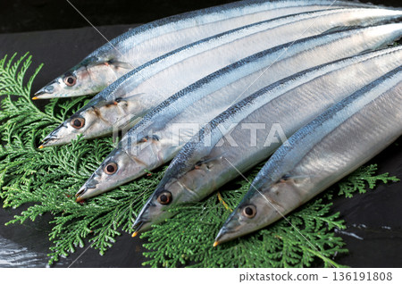 新鮮的秋刀魚 新鮮的秋刀魚 136191808