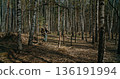 German soldier walking with backpack in birch forest during WWII reenactment German soldier walking with backpack in birch forest during WWII reenactment 136191994