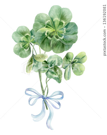 Bouquet of clover leaves with stems,tied with blue delicate double silk bow.Soft watercolor with gentle details,botanical element for wedding stationery,invitations, and place cards 136192081